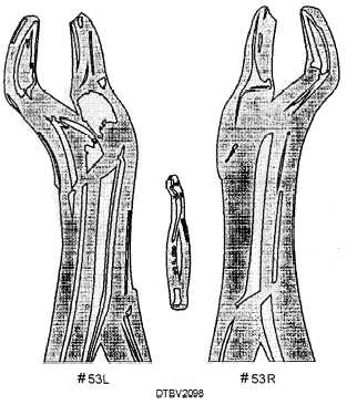 Forceps #53L and #53R