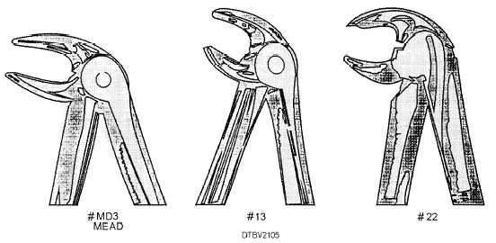 Hawkbill-type forceps used on mandibular teeth