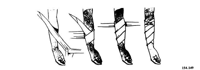 Cravat bandage for the arm, forearm, leg or thigh