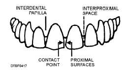 Proximal tooth surfaces and spaces
