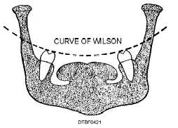 Curve of Wilson