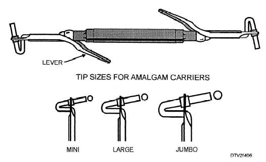 Amalgam carriers