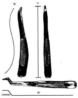 Maxillary shaped extraction forceps