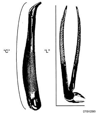 Mandibular shaped extraction forceps