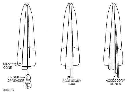 Steps in filling a root canal with master and accessory cones
